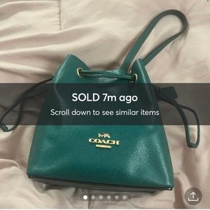 Coach Purse (SOLD)